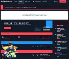 Cyberleaks & 14+ Onlyfans Leak Sites Like Cyberleaks.org