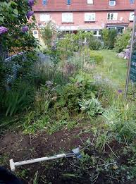 Zusammen mit den kund*innen und nutzer*innen finden wir an die herausforderung und das problem angepasste lösungen. Ds Gartenbau Landschaftsbau Kiel Home Facebook