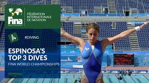 Paola espinosa was born in 1980s. Paola Espinosa Top 3 Dives Fina World Championships Swimmer S Daily
