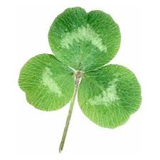 Boot macos, windows, and linux on mac or pc with uefi or bios press f4 to save original (oem) acpi tables into /efi/clover/acpi/origin. Clover Spanish Translation Longman