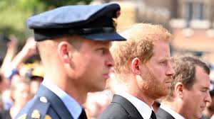 Prince Harry will not reunite with Prince William during UK visit