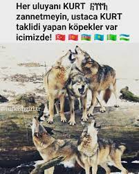pin auf 4 turk