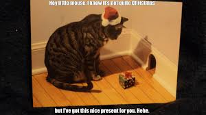 Funny Christmas Wallpaper Meme