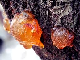 It has also been used as a healing agent in folk medicine. What Is Amber And How To Find It
