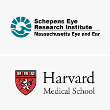 Curevac is the first company to successfully harness messenger rna (mrna) for medical purposes. Pipeline Curevac