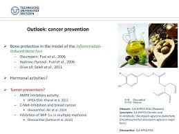 University Of Excellence Ppt Download