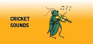 This page contains cricket sounds & music loops that are available in either.wav or.mp3 format. Cricket Sounds Pack Orange Free Sounds