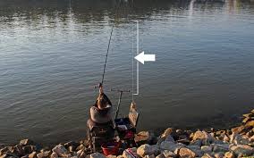 Powergum Angeln Tipps Fische