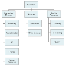 charts diagrams and graphic organizers business