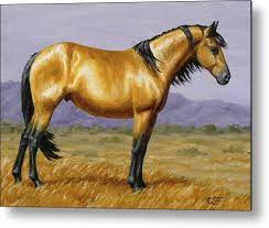 Double shot of mischief &lpar;double shot&rpar; Buckskin Mustang Stallion Metal Print By Crista Forest