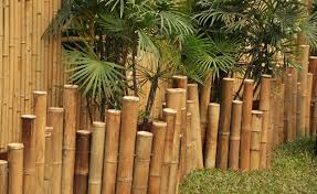 With proper consideration, bamboo can be utilized as a natural barrier or fence in your yard that is both good for the environment and beautiful. April 1994 Woodsinfo