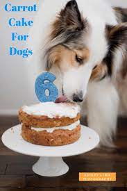 Dog Pawty Paisley The Sheltie Daily Dog Tag Recipe Dog Cakes Dog Cake Recipes Dog Birthday Cake Recipe