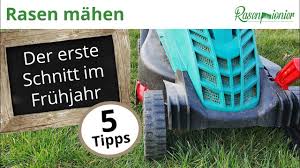 Witterung und jahreszeit bestimmen maßgeblich über die keimung von rasensamen. Rasen Mahen Der Erste Schnitt Im Fruhjahr 5 Tipps Youtube