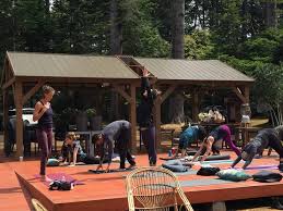We hope this site helps you find ways to nourish your body, mind, heart, and spirit. Camping Made Comfy At Mendocino Grove Trekaroo Family Travel Blog
