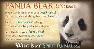 Panda Bear Symbolism Meaning Spirit Totem Power Animal Animal Totem Spirit Guides Power Animal Spirit Animal