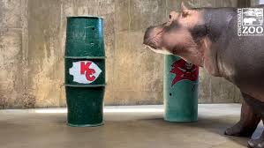 This detergent ad is not one of the best super bowl ads of all time. Bucs Or Chiefs Fiona Makes Her Super Bowl Prediction Wrgt