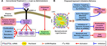I don't know that there is such a thing. Pdf Strategy To Enhance Lung Cancer Treatment By Five Essential Elements Inhalation Delivery Nanotechnology Tumor Receptor Targeting Chemo And Gene Therapy Semantic Scholar