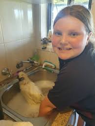 There are some neat opportunities here!