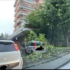 È ancora alta l'attenzione per quanto riguarda la situazione maltempo a torino. Maltempo Grandine In Tangenziale Albero Caduto Su Un Auto A Collegno Caos Tombini A Rivoli