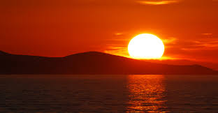 Got some pictures with my dog and some fallen leaves. Sunset Is A Pretty Word But Howard Tayler
