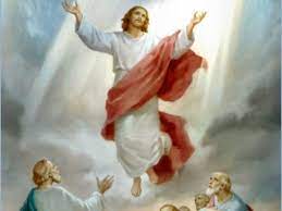 To encourage a continuation of the game, you may choose to step through a mysterious astral gash and arrive in the even more mysterious world beyond the pale. A Reflection For The Solemnity Of The Ascension Proclaim