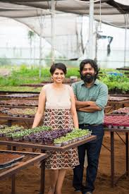 A plant has three main parts, namely the root system, the stem. These 5 Start Ups Are Revolutionizing The Concept Of Urban Farming In India