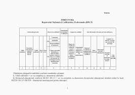 La clasificarea angajamentelor condiţionale se evaluează persoana care va deveni debitorul băncii sau care va avea creanţă faţă de bancă ca urmare a realizării contractului aferent angajamentului respectiv. Https Sgg Gov Ro 1 Wp Content Uploads 2018 11 Anexa 17 Pdf
