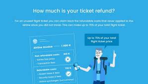 Some find out how much they owe when they receive notices from the irs for the unpaid debt. Ticket Refund Your Right For Unused Flight Tickets
