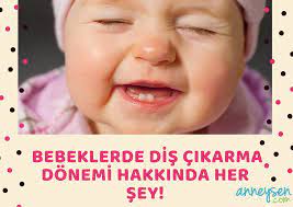 Bebegin Ilk Dislerini Cikarmaya Basladi Simdi Ne Yapman Lazim Aklinda Donen Sorulari Pedodontist Dr Begum Gok Coban A Sord Bebek Dis Cikarma Bebek Hamilelik