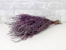 Image result for Stoebe