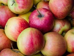 Ad by informatics at uthealth sbmi Apple Seeds What Happens If You Eat Them