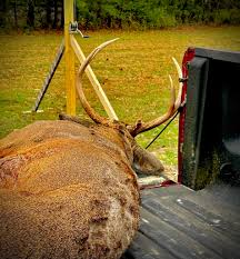 Foggy Hollow Outfitters added a...