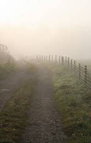 October Mist And Track Landscape Country Roads Scenery
