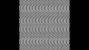 Composed entirely by live noise concrete and the use of a fuzz box, pulse demon eschews all overdubs and studio trickery, laying merzbow bare. Merzbow Pulse Demon Youtube