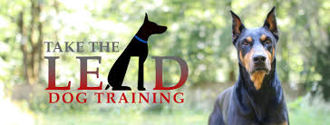 Our board & train program will help instill basic manners like house training, crate training. Take The Lead Dog Training Home Facebook