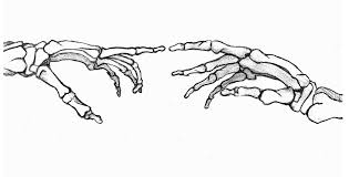 Pin By Ally Brown On Tattoo Skeleton Hand Tattoo Skeleton Drawings Hand Tattoos