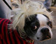 images?q=tbn:ANd9GcQKI1sogCaAGQDcTCwfbnX