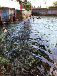 Hal ini bertujuan agar dalam perlombaan internasional tidak ada yang dirugikan dan agar semua sama. Kolam Renang Batang Tabik Payakumbuh Indonesia Review Tripadvisor