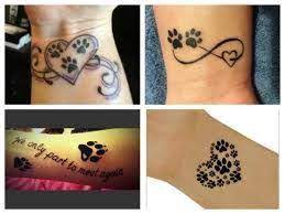 Stáhněte si pomocníka do vašeho prohlížeče (mozilla firefox, google chrome, opera) a my za to dostaneme od givtu 50. Vysledek Obrazku Pro Tetovani Pes Tattoos Paw Print Tattoo Print Tattoos