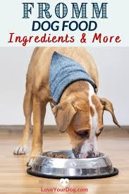 Whenever i'm checking out dog food, i try to answer the questions laid out by the world small animal. Fromm Dog Food Reviews Recall History Ingredients More Dog Food Reviews Dog Food Recipes Free Dog Food