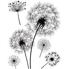 84 33 samen makro löwenzahn. Herma Fensterbild Decor Pusteblume Din A4 Schwarz Weiss Fensterbilder Farbe