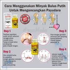 Maybe you would like to learn more about one of these? Original Minyak Bulus Putih Untuk Pria Dan Wanita Kaya Manfaat Pembesar Dan Pengencang Payudara Berkualitas Menghilangkan Bekas Jerawat Dan Menghaluskan Kulit Wajah Lazada Indonesia
