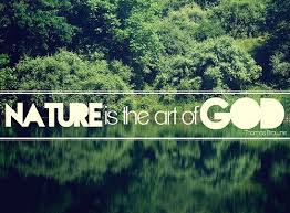 Creation S Splendor Points To God Mother Nature Quotes Nature Quotes Funny Quotes About Life