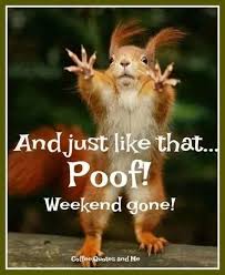 Mail Carla Rambo Outlook Funny Quotes Humor Funny