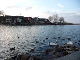 Fonyod Die Perle Der Balaton Sudseite Auf Zwei Hugeln Erbaut Balaton Urlaub Reisen