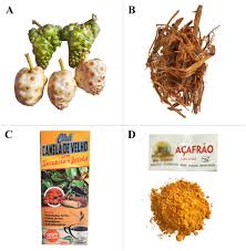 Image result for Morinda angolensis