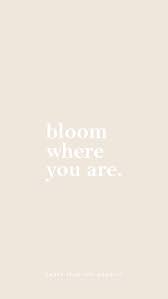  Pin By Carly Jean Los Angeles Cloth On Words Simply Quotes Inspirational Quotes For Entrepreneurs Quote Aesthetic