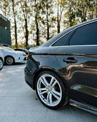 Image result for Beluga Brown 2015 A3