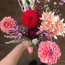 We did not find results for: Candler Park Flowers Home Facebook