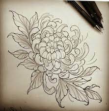 Pink chrysanthemum flower tattoo chrysanthemum tattoo design. Pin By Laura C On Idei Chrysanthemum Tattoo Japanese Flower Tattoo Body Art Tattoos